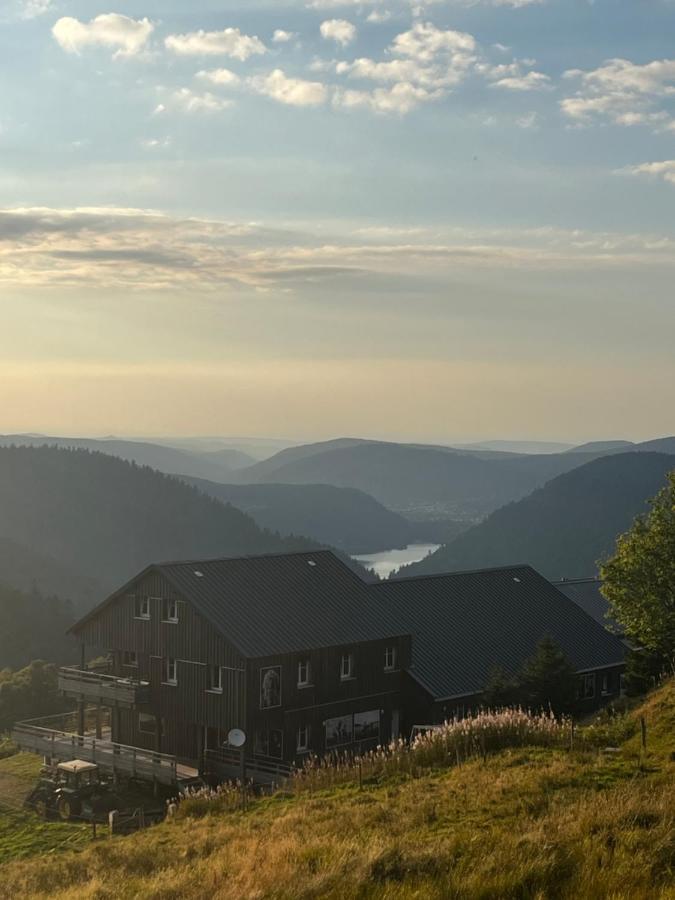 Le Chalet De La Folie Corcieux Екстер'єр фото